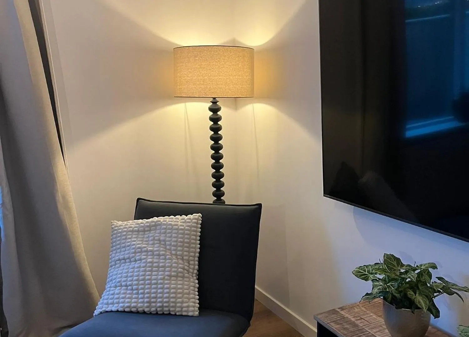 Parkzicht Zwanenburg Apartment